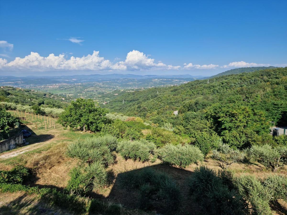 Guesthouse Flora Κόπερ Εξωτερικό φωτογραφία